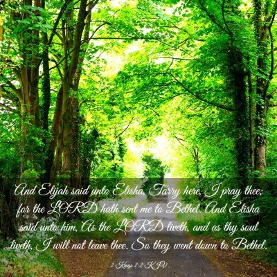 Picture 03 - 2 Kings 2:2 KJV - And Elijah said unto Elisha, Tarry here, I pray - Bible Verse Picture