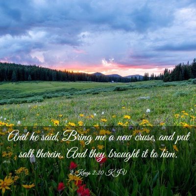 Picture 03 - 2 Kings 2:20 KJV - And he said, Bring me a new cruse, and put salt - Bible Verse Picture