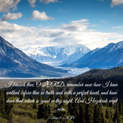 Picture 03 - 2 Kings 20:3 KJV - I beseech thee, O LORD, remember now how I have - Bible Verse Picture
