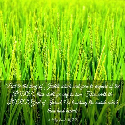 Picture 03 - 2 Kings 22:18 KJV - But to the king of Judah which sent you to - Bible Verse Picture
