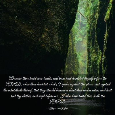 Picture 03 - 2 Kings 22:19 KJV - Because thine heart was tender, and thou hast - Bible Verse Picture