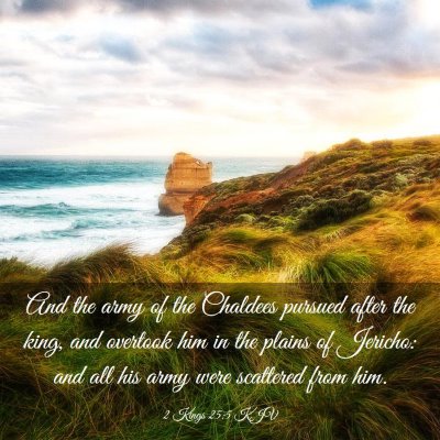 Picture 03 - 2 Kings 25:5 KJV - And the army of the Chaldees pursued after the - Bible Verse Picture