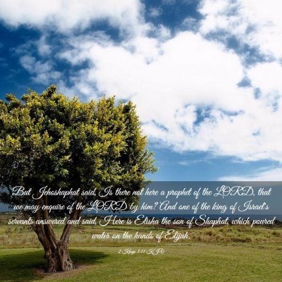 Picture 03 - 2 Kings 3:11 KJV - But Jehoshaphat said, Is there not here a prophet - Bible Verse Picture