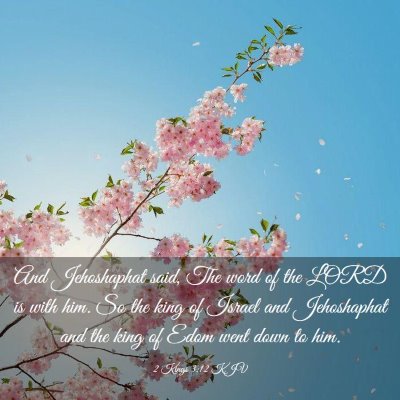 Picture 03 - 2 Kings 3:12 KJV - And Jehoshaphat said, The word of the LORD is - Bible Verse Picture