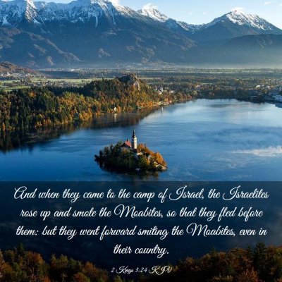 Picture 03 - 2 Kings 3:24 KJV - And when they came to the camp of Israel, the - Bible Verse Picture