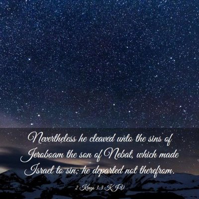 Picture 03 - 2 Kings 3:3 KJV - Nevertheless he cleaved unto the sins of Jeroboam - Bible Verse Picture