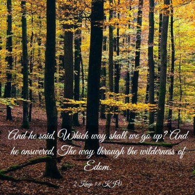 Picture 03 - 2 Kings 3:8 KJV - And he said, Which way shall we go up? And he - Bible Verse Picture