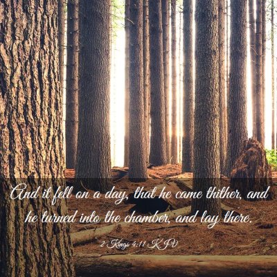 Picture 03 - 2 Kings 4:11 KJV - And it fell on a day, that he came thither, and - Bible Verse Picture
