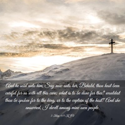 Picture 03 - 2 Kings 4:13 KJV - And he said unto him, Say now unto her, Behold, - Bible Verse Picture