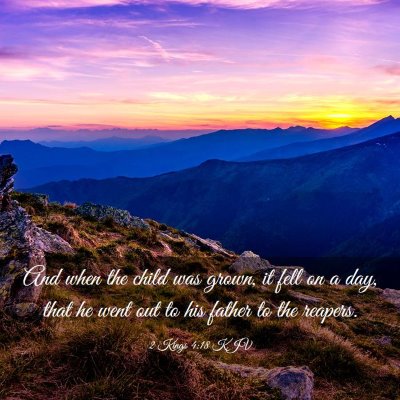 Picture 03 - 2 Kings 4:18 KJV - And when the child was grown, it fell on a day, - Bible Verse Picture