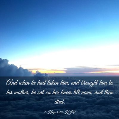 Picture 03 - 2 Kings 4:20 KJV - And when he had taken him, and brought him to his - Bible Verse Picture