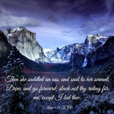 Picture 03 - 2 Kings 4:24 KJV - Then she saddled an ass, and said to her servant, - Bible Verse Picture