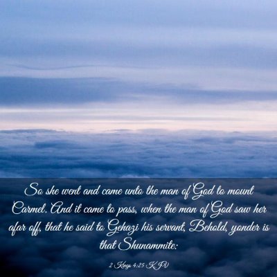 Picture 03 - 2 Kings 4:25 KJV - So she went and came unto the man of God to mount - Bible Verse Picture