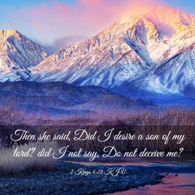 Picture 03 - 2 Kings 4:28 KJV - Then she said, Did I desire a son of my lord? did - Bible Verse Picture
