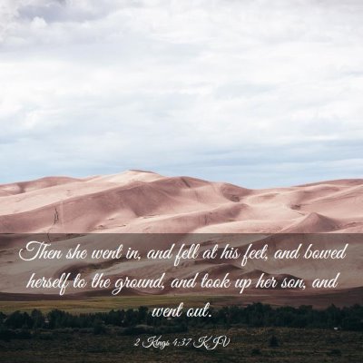 Picture 03 - 2 Kings 4:37 KJV - Then she went in, and fell at his feet, and bowed - Bible Verse Picture