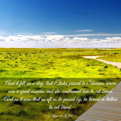 Picture 03 - 2 Kings 4:8 KJV - And it fell on a day, that Elisha passed to - Bible Verse Picture