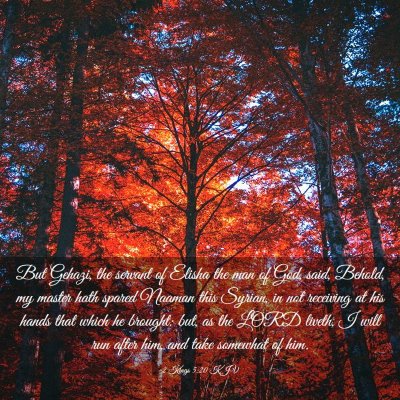 Picture 03 - 2 Kings 5:20 KJV - But Gehazi, the servant of Elisha the man of God, - Bible Verse Picture