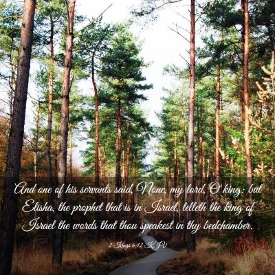 Picture 03 - 2 Kings 6:12 KJV - And one of his servants said, None, my lord, O - Bible Verse Picture
