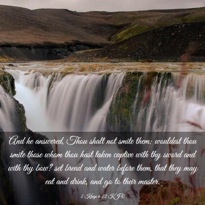 Picture 03 - 2 Kings 6:22 KJV - And he answered, Thou shalt not smite them: - Bible Verse Picture
