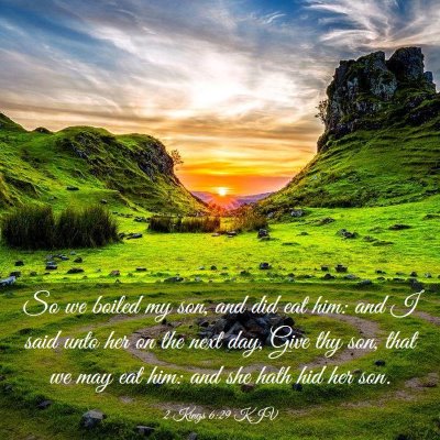 Picture 03 - 2 Kings 6:29 KJV - So we boiled my son, and did eat him: and I said - Bible Verse Picture