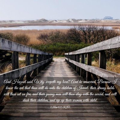Picture 03 - 2 Kings 8:12 KJV - And Hazael said, Why weepeth my lord? And he - Bible Verse Picture