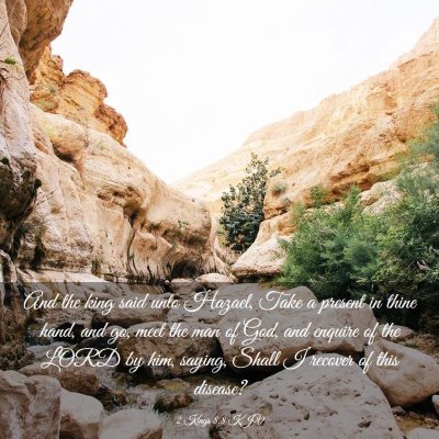 Picture 03 - 2 Kings 8:8 KJV - And the king said unto Hazael, Take a present in - Bible Verse Picture