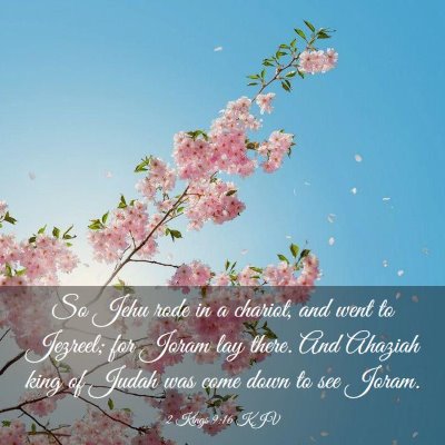 Picture 03 - 2 Kings 9:16 KJV - So Jehu rode in a chariot, and went to Jezreel; - Bible Verse Picture