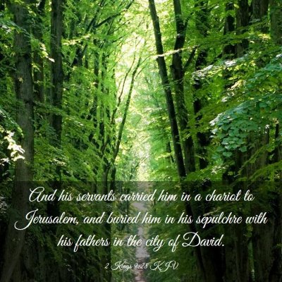 Picture 03 - 2 Kings 9:28 KJV - And his servants carried him in a chariot to - Bible Verse Picture