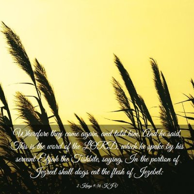 Picture 03 - 2 Kings 9:36 KJV - Wherefore they came again, and told him. And he - Bible Verse Picture