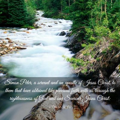 Picture 03 - 2 Peter 1:1 KJV - Simon Peter, a servant and an apostle of Jesus - Bible Verse Picture