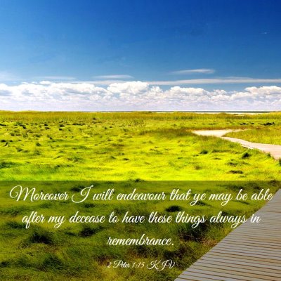 Picture 03 - 2 Peter 1:15 KJV - Moreover I will endeavour that ye may be able - Bible Verse Picture