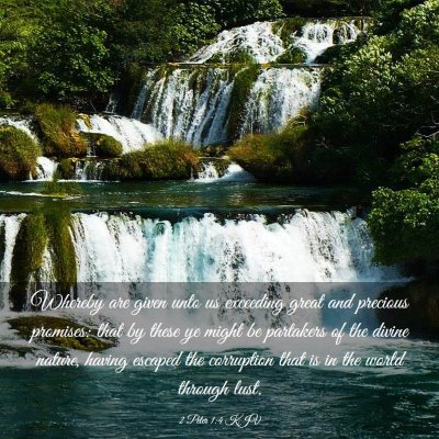 Picture 03 - 2 Peter 1:4 KJV - Whereby are given unto us exceeding great and - Bible Verse Picture