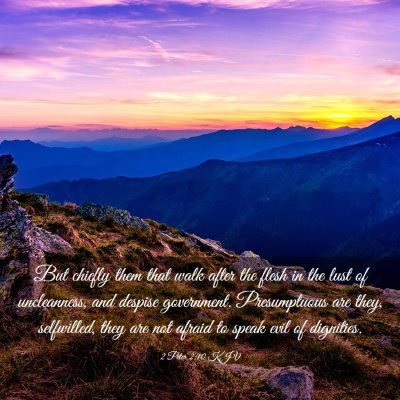 Picture 03 - 2 Peter 2:10 KJV - But chiefly them that walk after the flesh in the - Bible Verse Picture