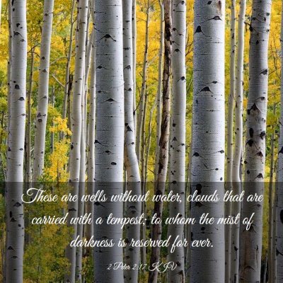 Picture 03 - 2 Peter 2:17 KJV - These are wells without water, clouds that are - Bible Verse Picture