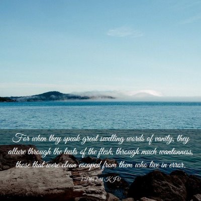 Picture 03 - 2 Peter 2:18 KJV - For when they speak great swelling words of - Bible Verse Picture