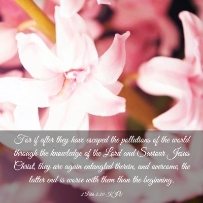 Picture 03 - 2 Peter 2:20 KJV - For if after they have escaped the pollutions of - Bible Verse Picture