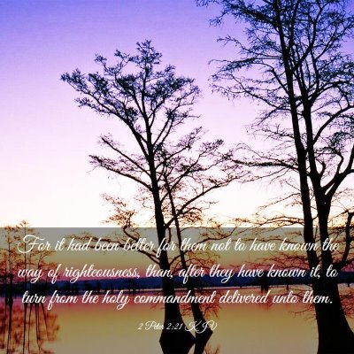 Picture 03 - 2 Peter 2:21 KJV - For it had been better for them not to have known - Bible Verse Picture