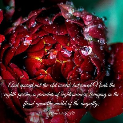 Picture 03 - 2 Peter 2:5 KJV - And spared not the old world, but saved Noah the - Bible Verse Picture