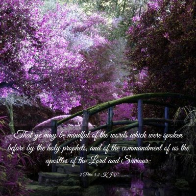 Picture 03 - 2 Peter 3:2 KJV - That ye may be mindful of the words which were - Bible Verse Picture
