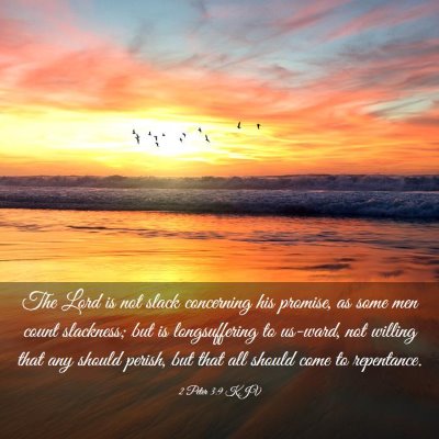 Picture 03 - 2 Peter 3:9 KJV - The Lord is not slack concerning his promise, as - Bible Verse Picture