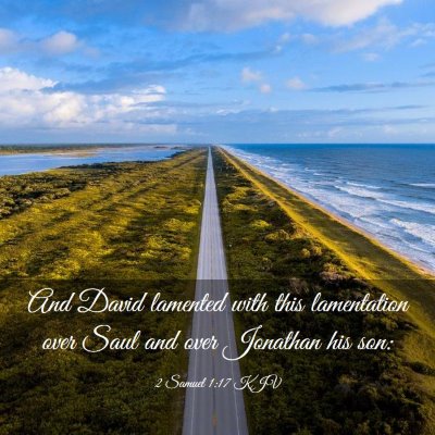 Picture 03 - 2 Samuel 1:17 KJV - And David lamented with this lamentation over - Bible Verse Picture