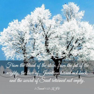 Picture 03 - 2 Samuel 1:22 KJV - From the blood of the slain, from the fat of the - Bible Verse Picture