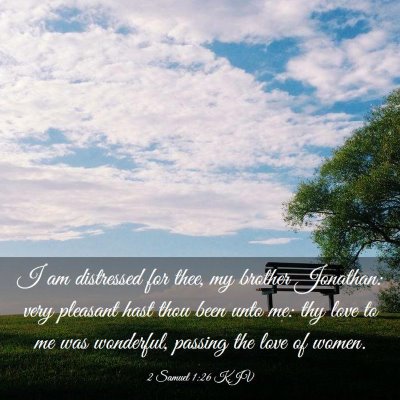 Picture 03 - 2 Samuel 1:26 KJV - I am distressed for thee, my brother Jonathan: - Bible Verse Picture