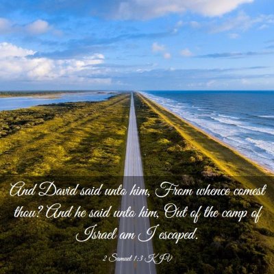 Picture 03 - 2 Samuel 1:3 KJV - And David said unto him, From whence comest thou? - Bible Verse Picture