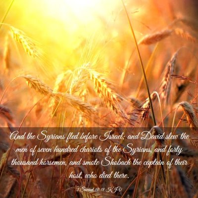 Picture 03 - 2 Samuel 10:18 KJV - And the Syrians fled before Israel; and David - Bible Verse Picture