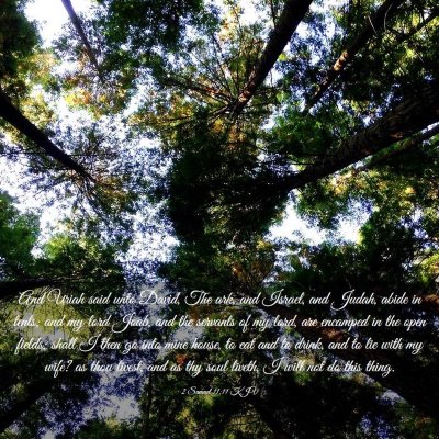 Picture 03 - 2 Samuel 11:11 KJV - And Uriah said unto David, The ark, and Israel, - Bible Verse Picture