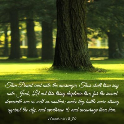 Picture 03 - 2 Samuel 11:25 KJV - Then David said unto the messenger, Thus shalt - Bible Verse Picture