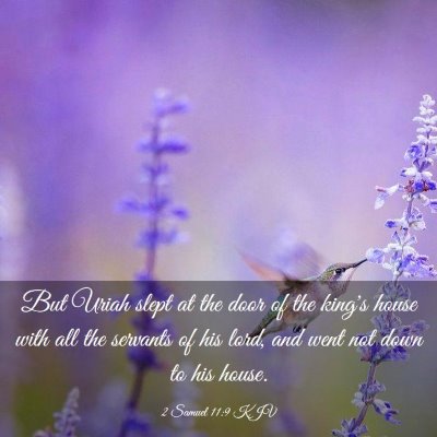 Picture 03 - 2 Samuel 11:9 KJV - But Uriah slept at the door of the king's house - Bible Verse Picture