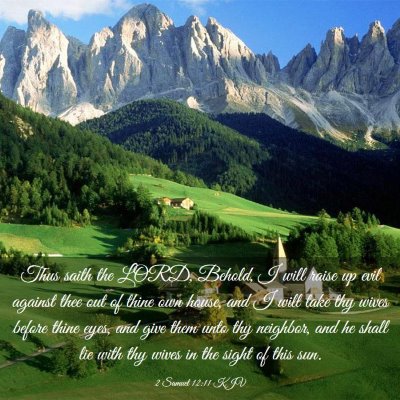 Picture 03 - 2 Samuel 12:11 KJV - Thus saith the LORD, Behold, I will raise up evil - Bible Verse Picture