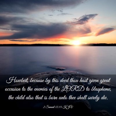 Picture 03 - 2 Samuel 12:14 KJV - Howbeit, because by this deed thou hast given - Bible Verse Picture